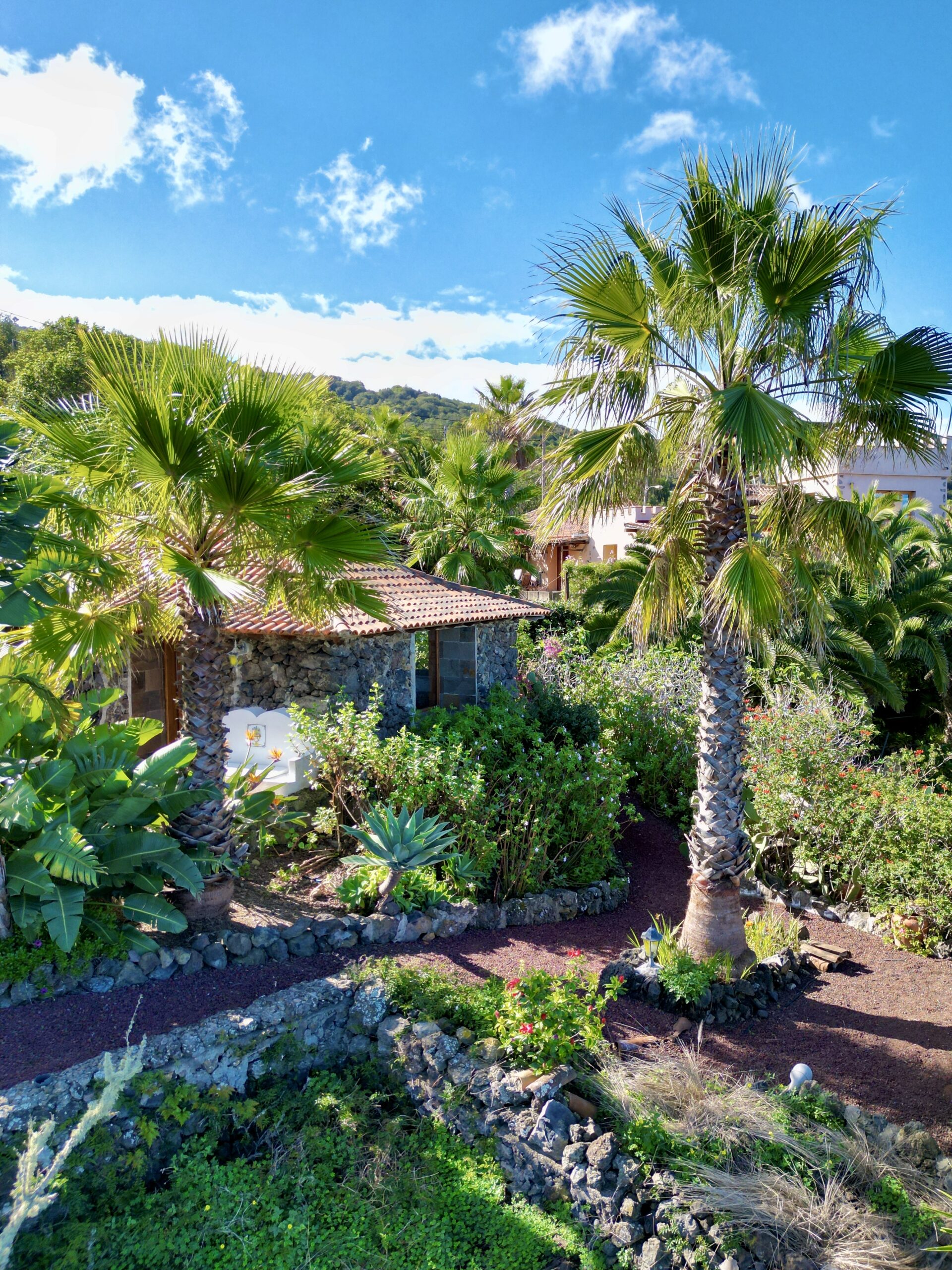 default Sabina Aerila 2